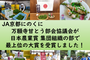 【速報】日本農業賞の集団組織の部で、万願寺甘とう部会協議会が大賞を受賞しました